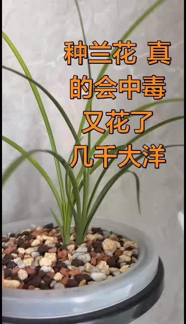 #完全上瘾了