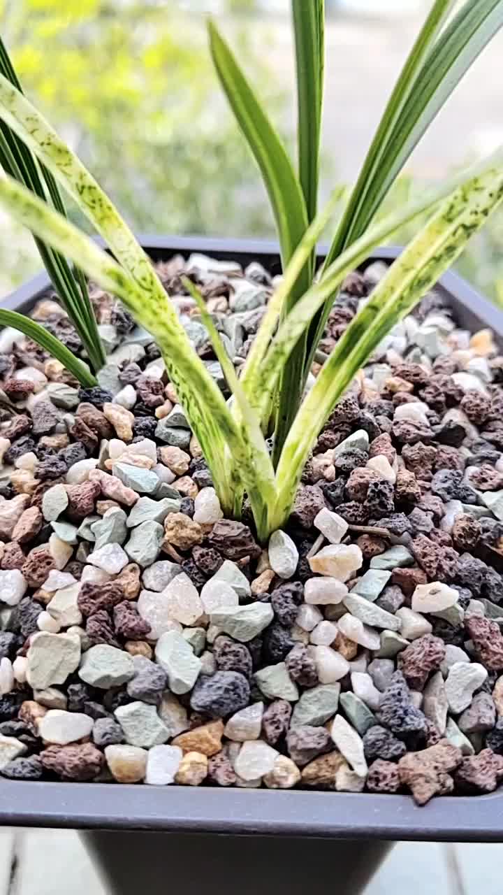 状态还是可以的！