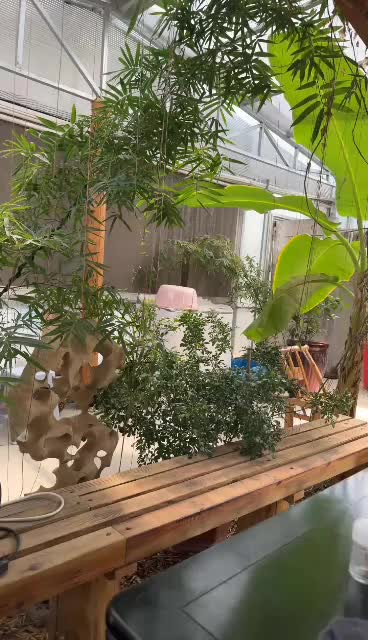 悠闲喝茶