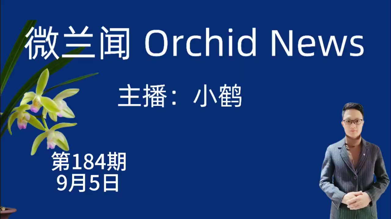 微兰闻第184期，昆明国际花卉展将举行，腾冲南陲兰花交易会，